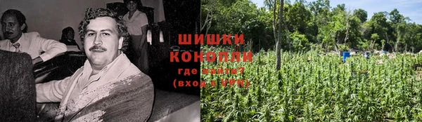 дмт Протвино