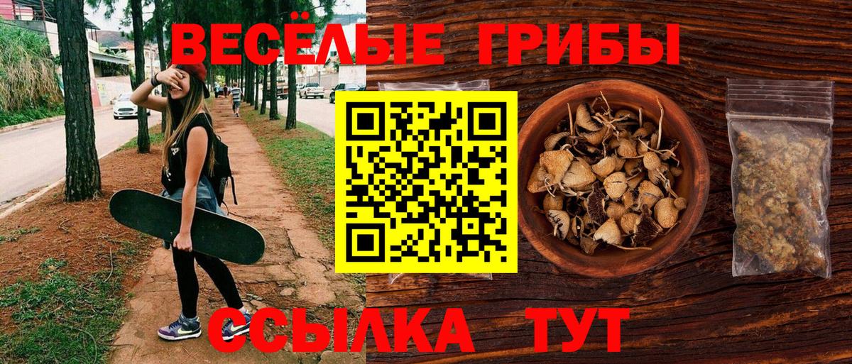 Галлюциногенные грибы Cubensis  Псилоцибиновые грибы прущие грибы  Алейск 